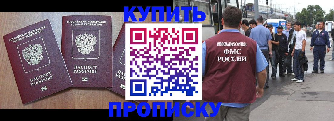 прописка 2025 в Солнечногорске